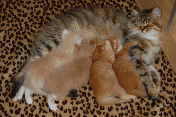 mit der lieben Mami.jpg